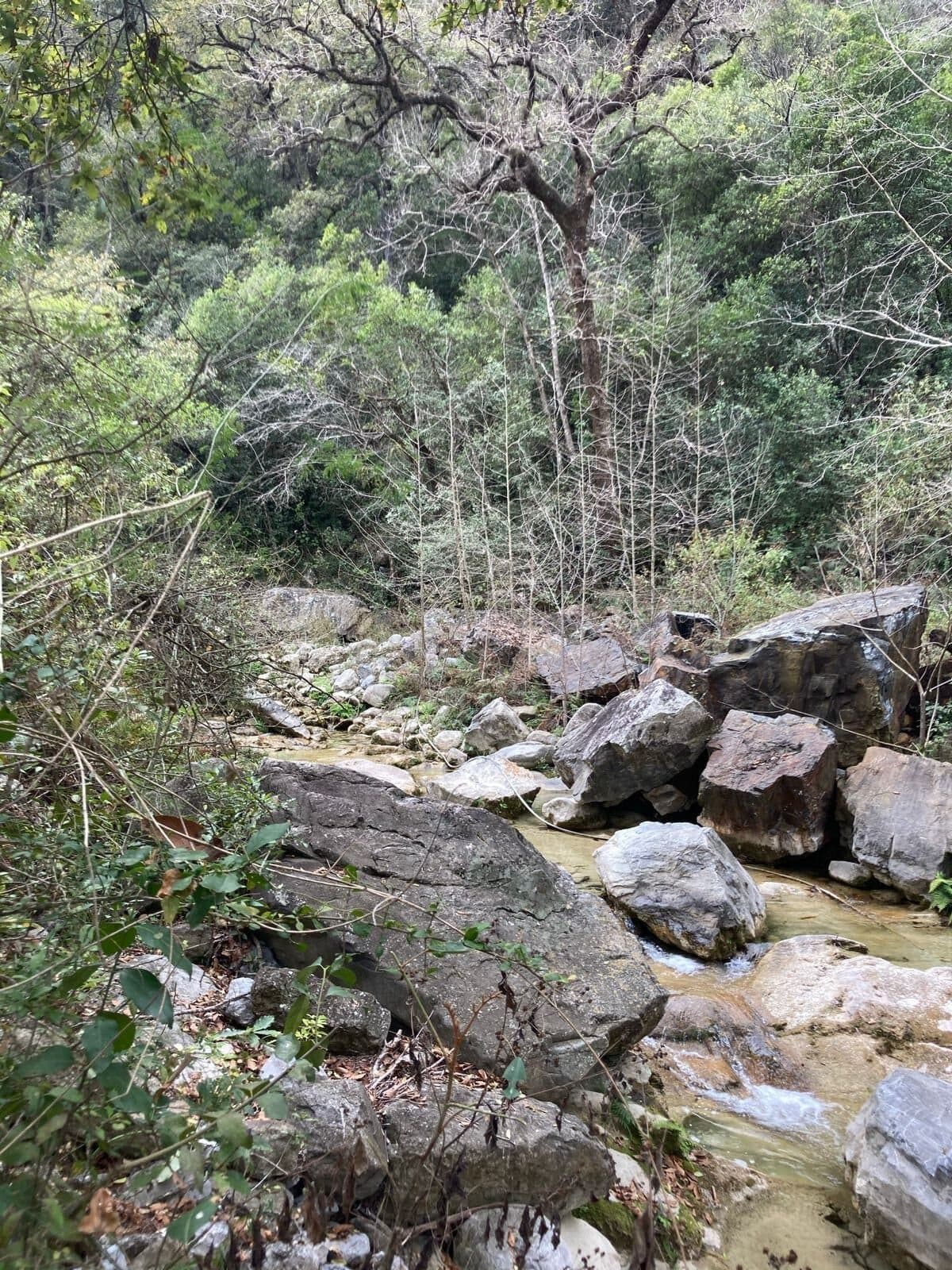 Río Pilón