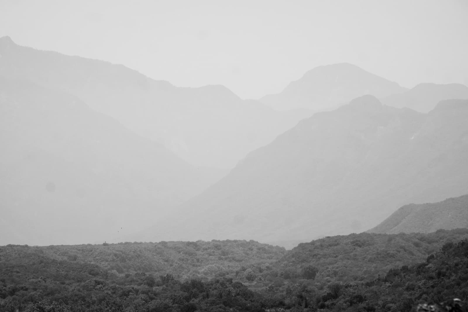 Views from the Las Sendas land