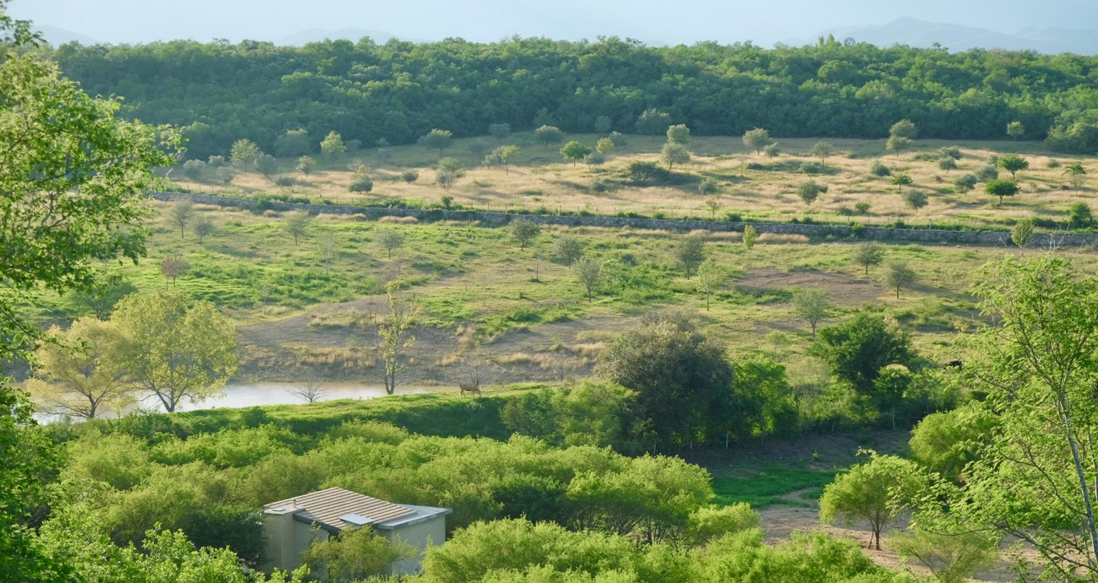 Lote 43 · Cantera Real · esquina norte · 10
